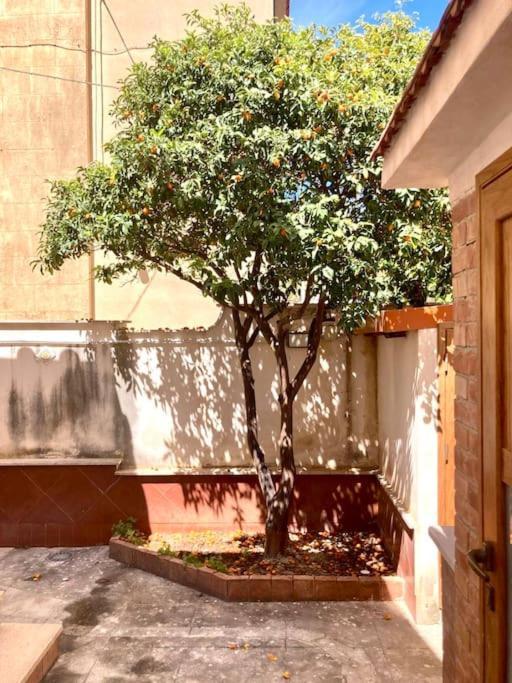 Villa Orlando Mondello Palermo Ngoại thất bức ảnh